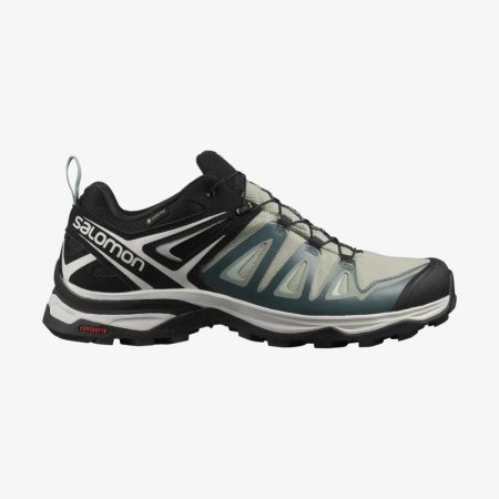 Scarpe Trekking Salomon X ULTRA 3 GORE-TEX Donna Nere/Grigie IT 2-B01